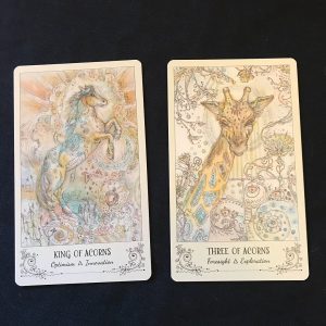 Spiritsong Tarot - Ảnh 11