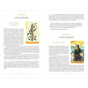 Steele Wizard Tarot - Ảnh 10