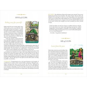 Steele Wizard Tarot - Ảnh 11