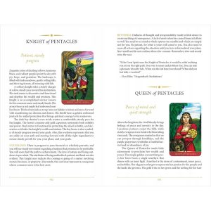Steele Wizard Tarot - Ảnh 13