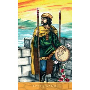 Steele Wizard Tarot - Ảnh 4