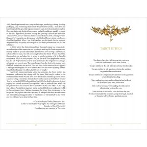 Steele Wizard Tarot - Ảnh 9