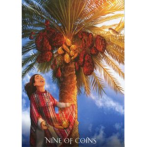 Sufi Tarot - Ảnh 10
