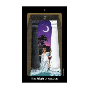 Sun and Moon Tarot - Tin Edition - Ảnh 9