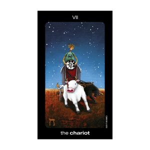 Sun and Moon Tarot - Tin Edition - Ảnh 8