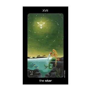 Sun and Moon Tarot - Tin Edition - Ảnh 7