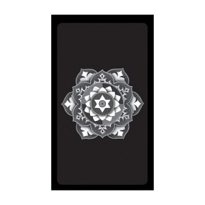 Sun and Moon Tarot - Tin Edition - Ảnh 3