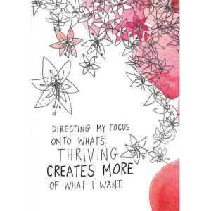 Super Attractor Cards - Ảnh 5