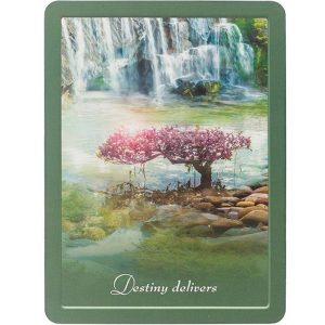 TLC for the Soul Cards - Ảnh 3