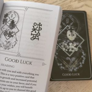 Talisman Oracle - Ảnh 15