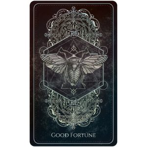 Talisman Oracle - Ảnh 4