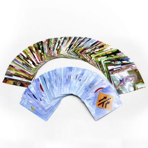 Tan Doo Cards - Ảnh 6