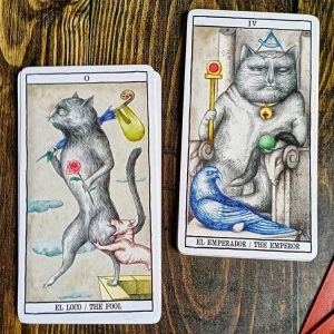Tarot Cats - Ảnh 7