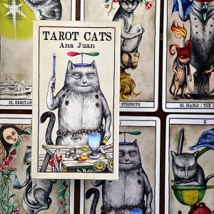 Tarot Cats - Ảnh 14