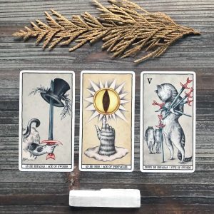 Tarot Cats - Ảnh 12