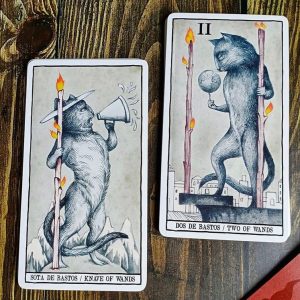 Tarot Cats - Ảnh 11