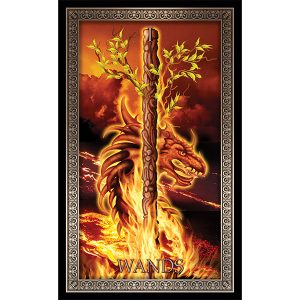 Tarot Grand Luxe - Ảnh 3