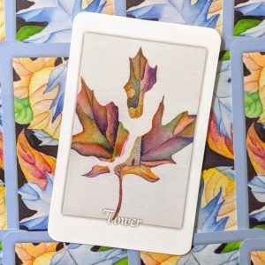 Tarot Leaves - Ảnh 4