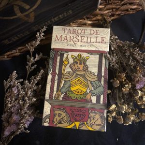 Tarot de Marseille Paris 1890 (Limited Edition) - Ảnh 11