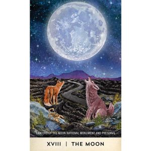 Tarot for the Great Outdoors - Ảnh 5