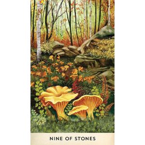 Tarot for the Great Outdoors - Ảnh 8