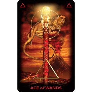 Tarot of Dreams - Ảnh 7