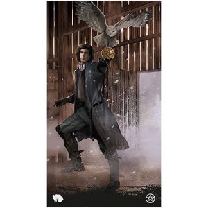 Tarot of the Haunted House - Ảnh 4