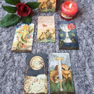 Tarot of the Little Prince - Ảnh 11
