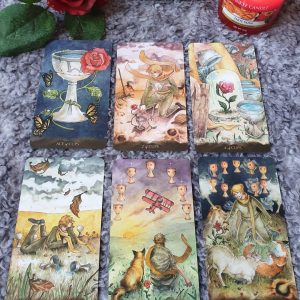 Tarot of the Little Prince - Ảnh 7