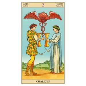 Tarot of the New Vision - Ảnh 13