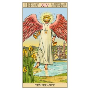 Tarot of the New Vision - Ảnh 5