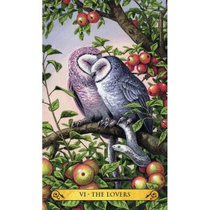 Tarot of the Owls - Mini Edition - Ảnh 5