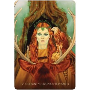Through the Eyes of the Soul Oracle - Ảnh 5