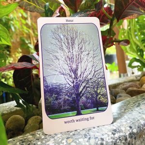 The Time Traveler Oracle - Ảnh 11