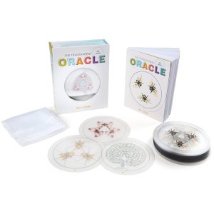 Transparent Oracle - Ảnh 6