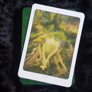 Tree Angel Oracle - Ảnh 10