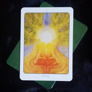 Tree Angel Oracle - Ảnh 11