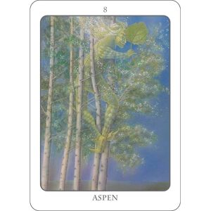 Tree Angel Oracle - Ảnh 4
