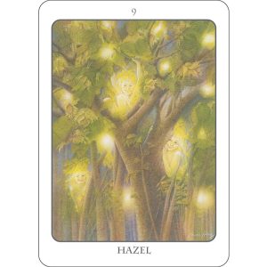 Tree Angel Oracle - Ảnh 5