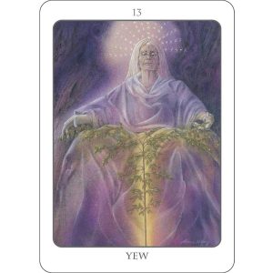 Tree Angel Oracle - Ảnh 7