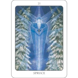 Tree Angel Oracle - Ảnh 8