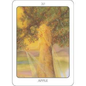 Tree Angel Oracle - Ảnh 9