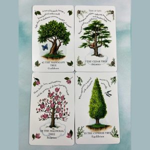Tree Magick Oracle - Ảnh 6