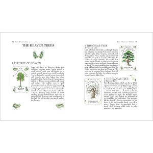 Tree Magick Oracle - Ảnh 7