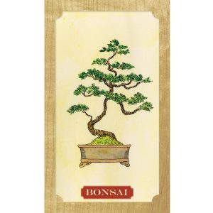 Tree of Life Oracle - Ảnh 3