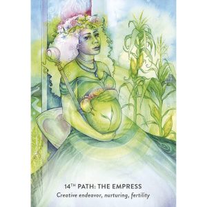Tree of Life Oracle (Hay House) - Ảnh 5
