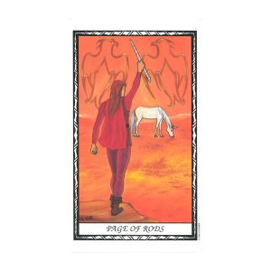 Unicorn Tarot - Ảnh 5