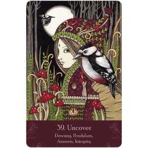 Universal Folk Oracle - Ảnh 10