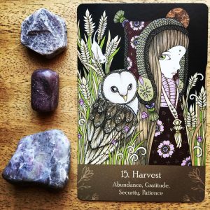 Universal Folk Oracle - Ảnh 15