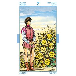 Tarot for Everyone - Ảnh 12
